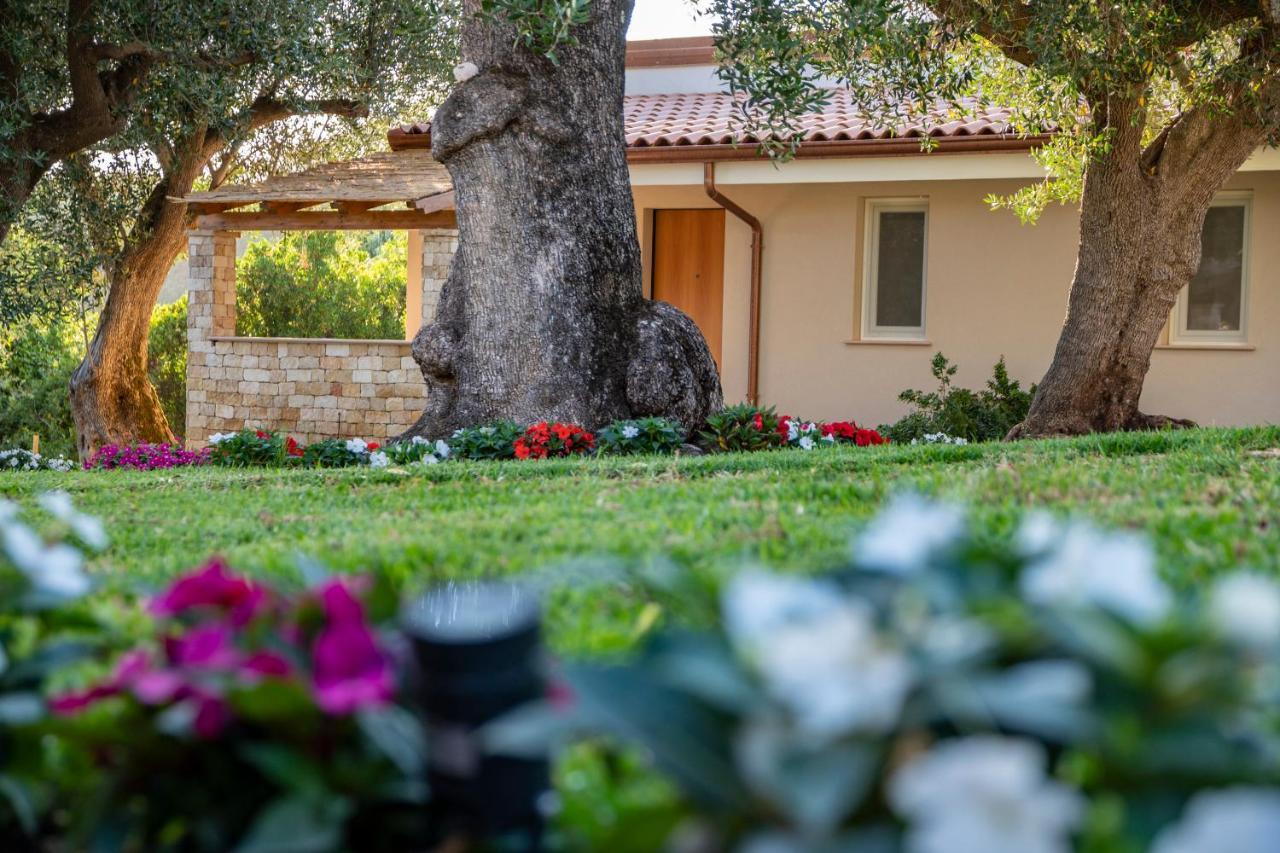 Il Mirto Residence Marina di Camerota Exterior foto